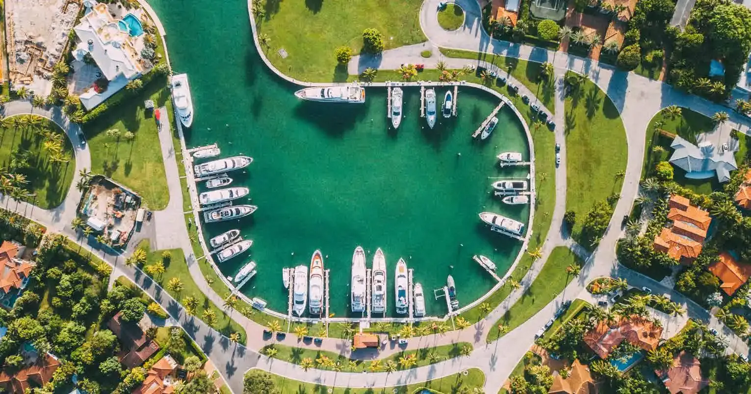 The IIBC Neighborhood